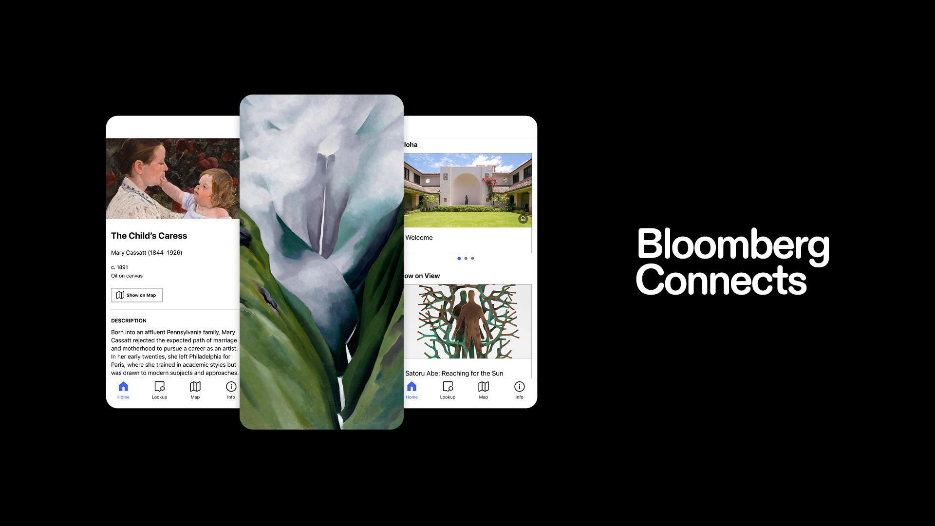 Bloomberg Connects – Honolulu Museum of Art digital guide